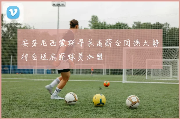 安芬尼西蒙斯寻求高薪合同热火静待合适底薪球员加盟