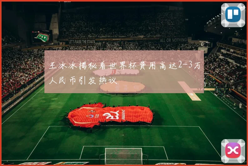 王冰冰揭秘看世界杯费用高达2-3万人民币引发热议